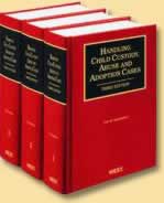 Handling Child Custody, Abuse, and Adoption Cases
